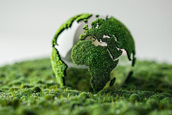 Sustainability